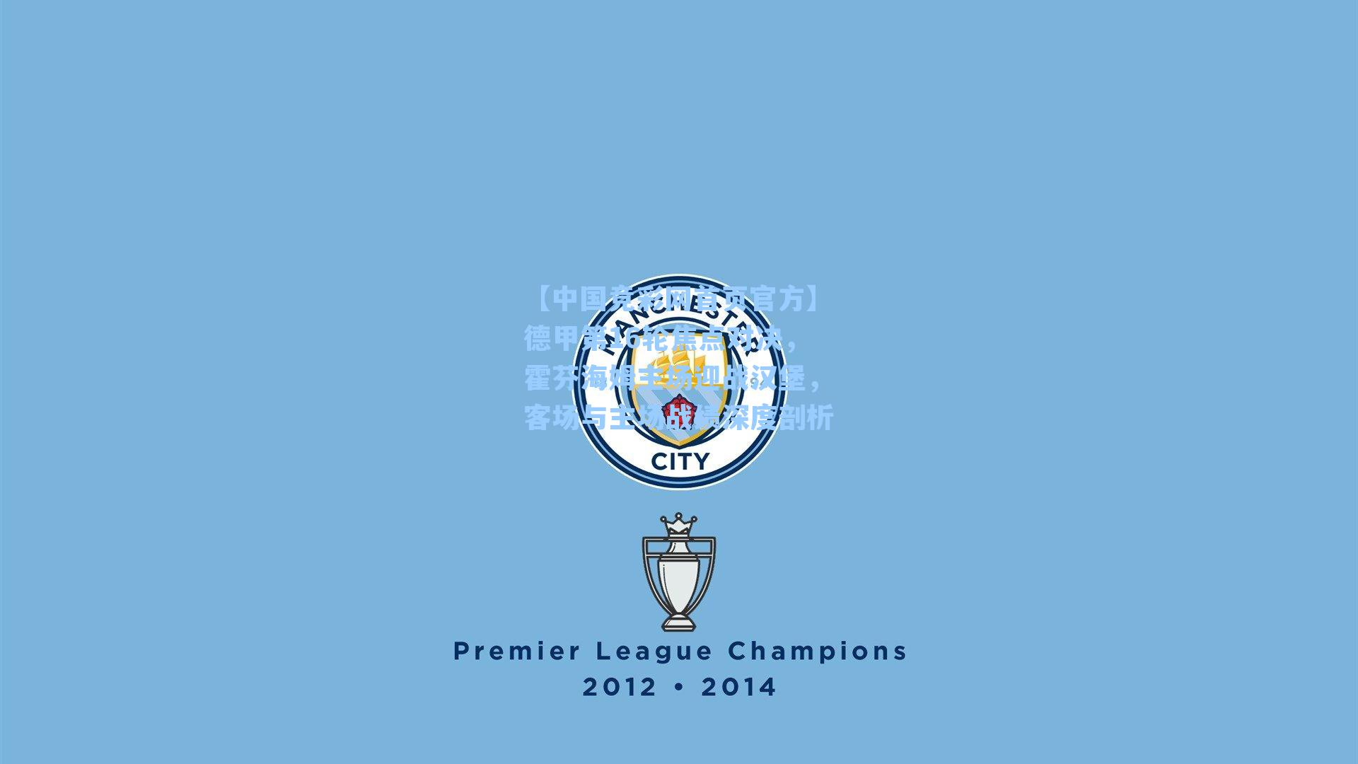 德甲第16轮焦点对决，霍芬海姆主场迎战汉堡，客场与主场战绩深度剖析