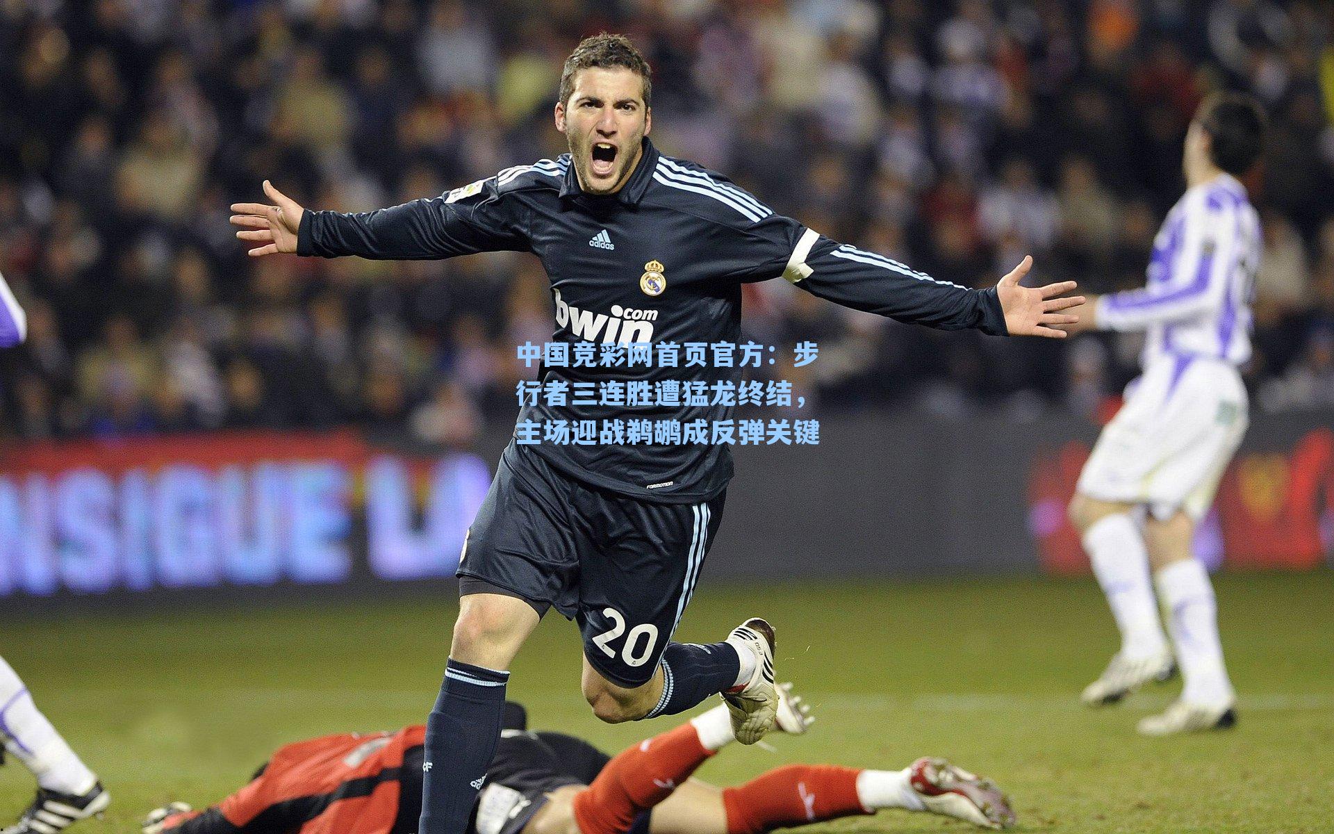 步行者三连胜遭猛龙终结，主场迎战鹈鹕成反弹关键